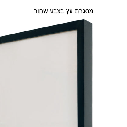 שמלת ערב