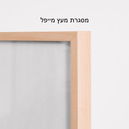 שמלת ערב