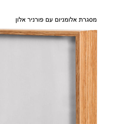 שמלת ערב