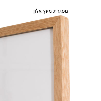 שמלת ערב