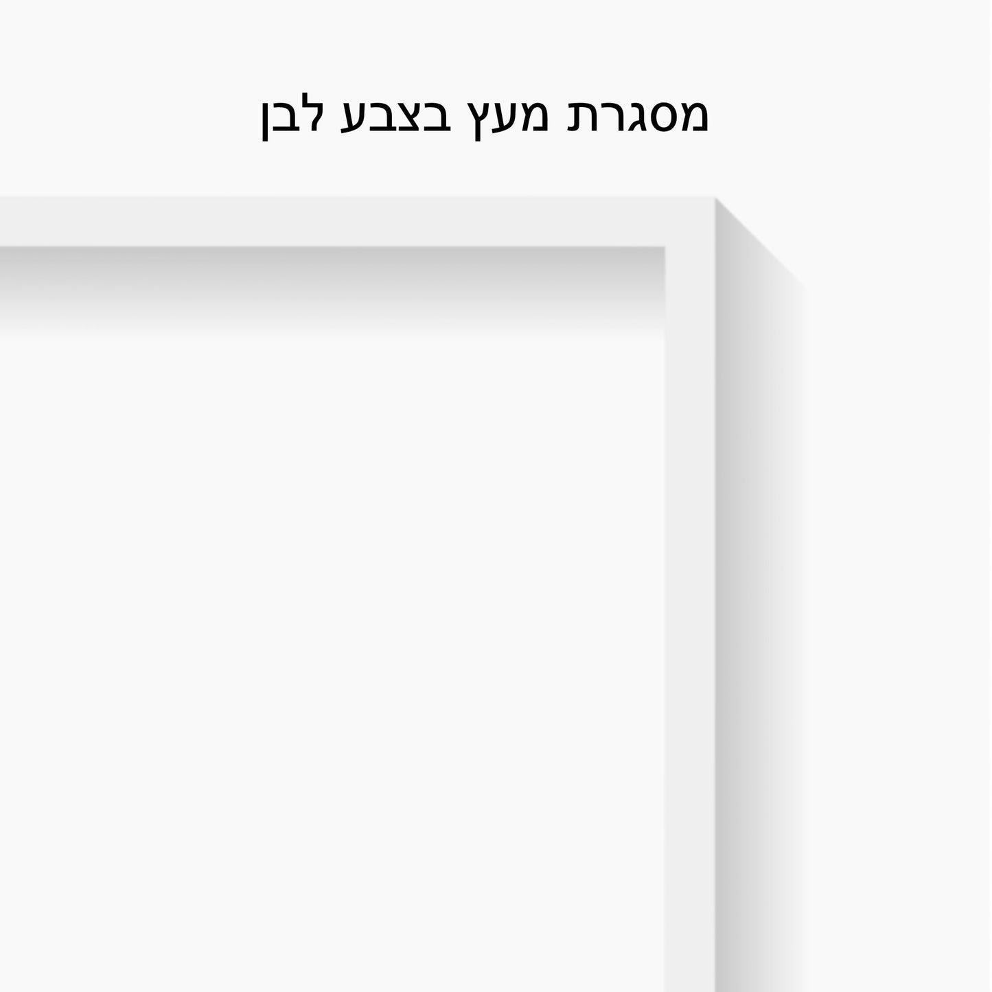 התכדרות