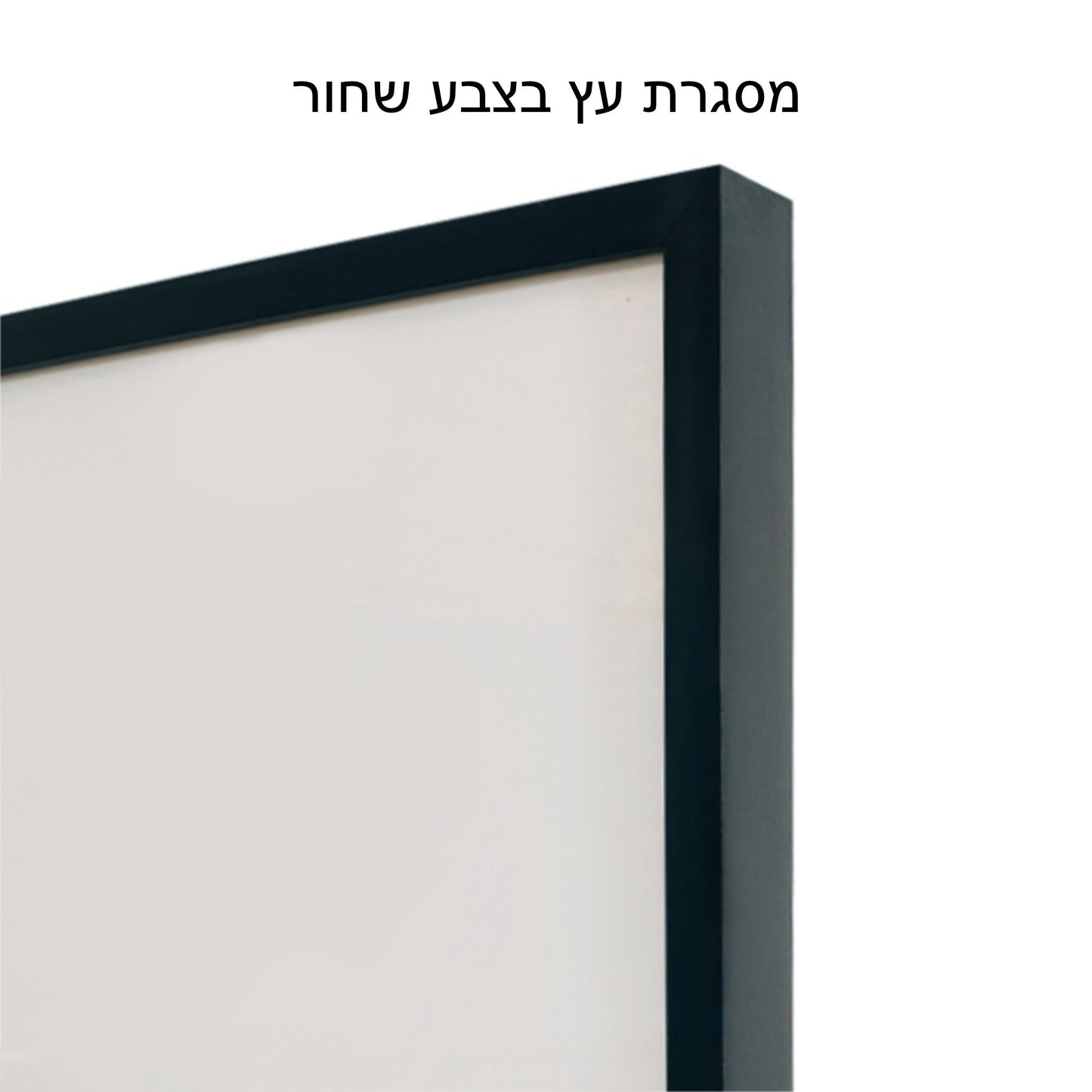 גורדון פרישמן